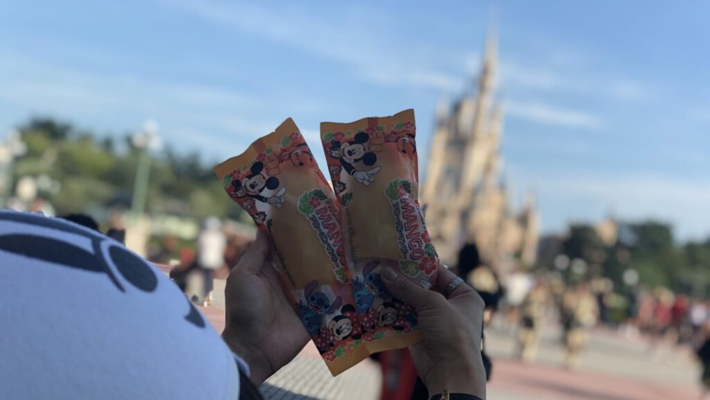 夏ディズニー 暑さ対策 持ち物