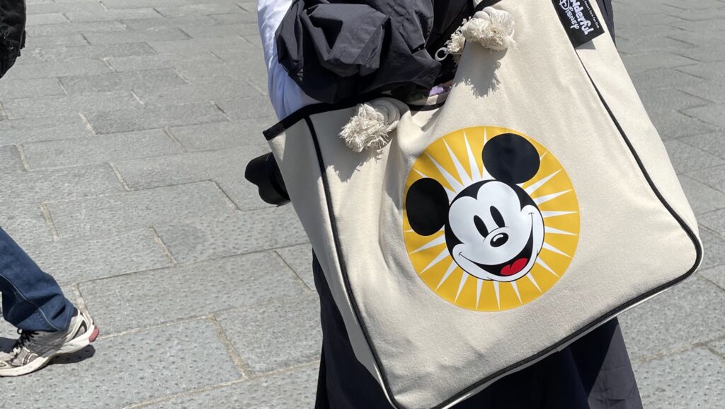 ディズニー 荷物 減らす パッキング