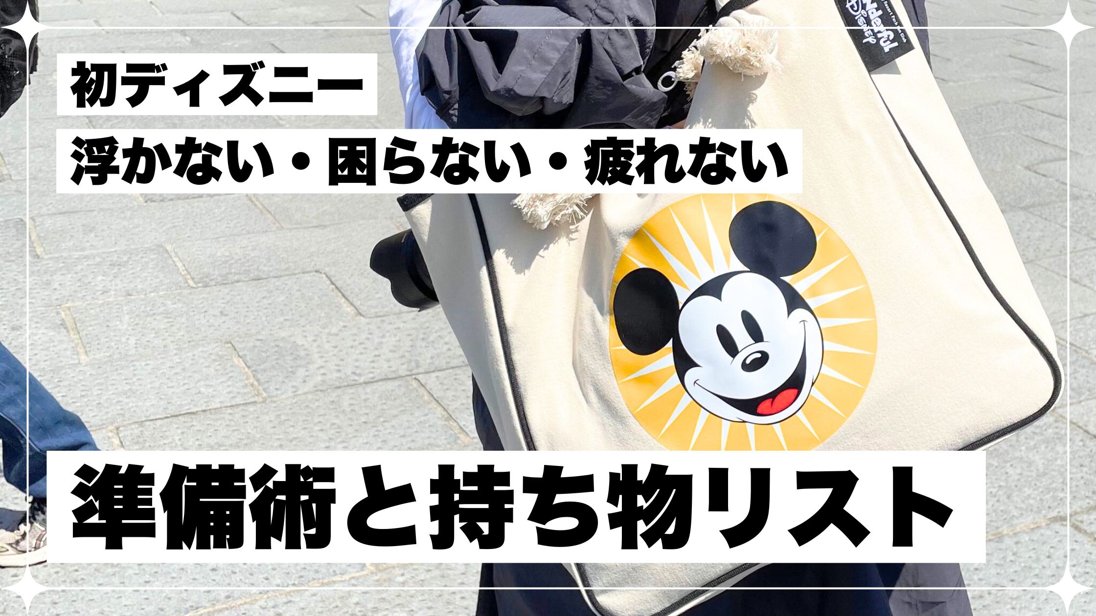 ディズニー 初心者 準備 何が必要